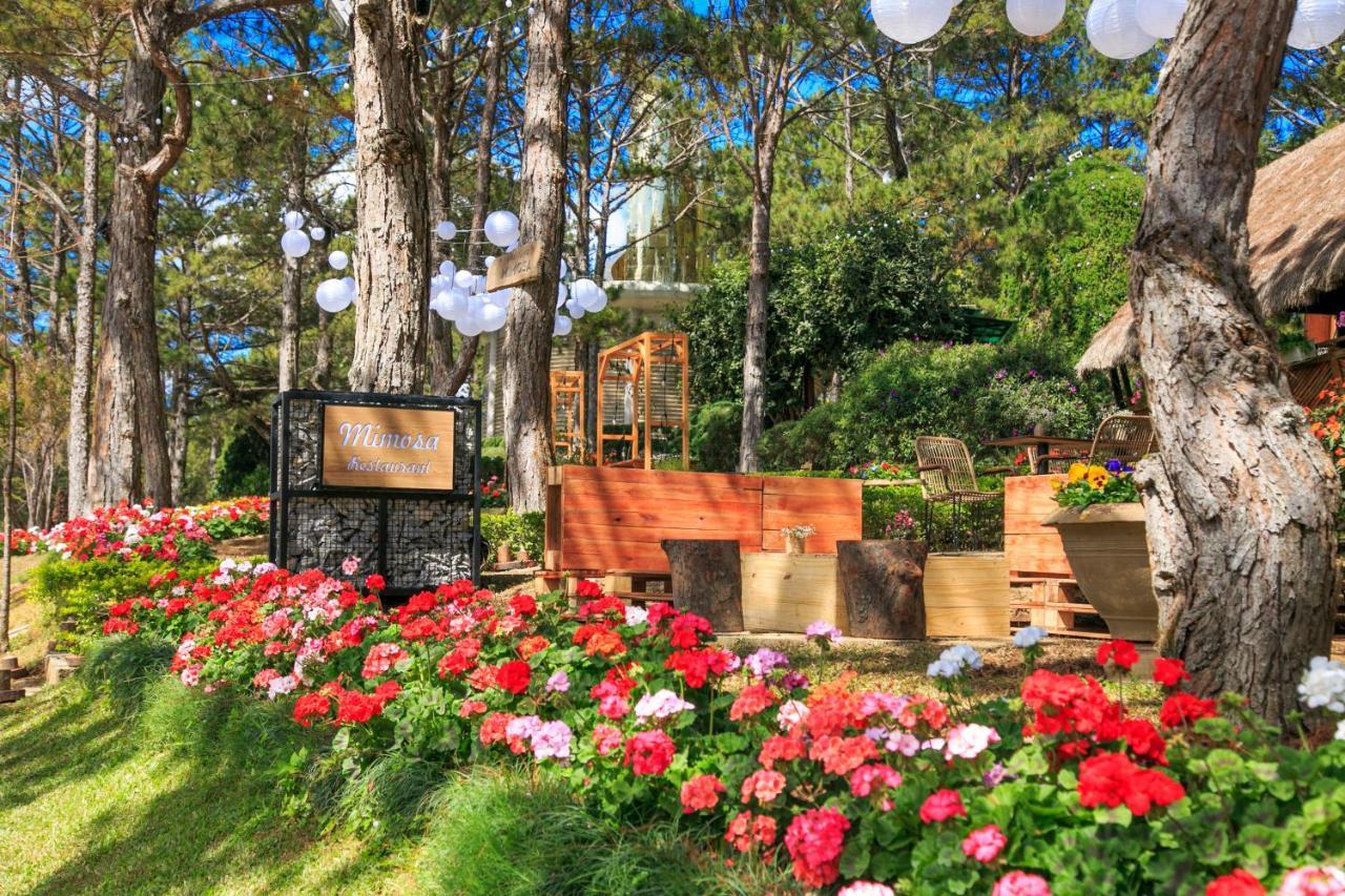 Ttc Dreamy Hill Resort - Unlimited Access To Ttc World - Thung Lung Tinh Yeu Далат Екстер'єр фото